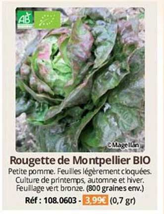 rougette de montpellier bio