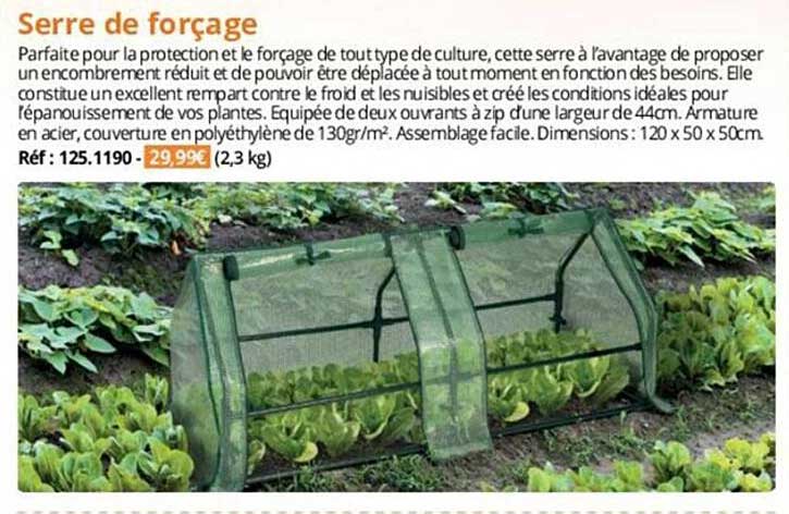 serre de forçage