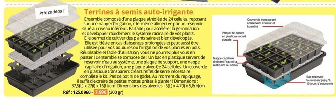 terrines à semis auto-irrigante