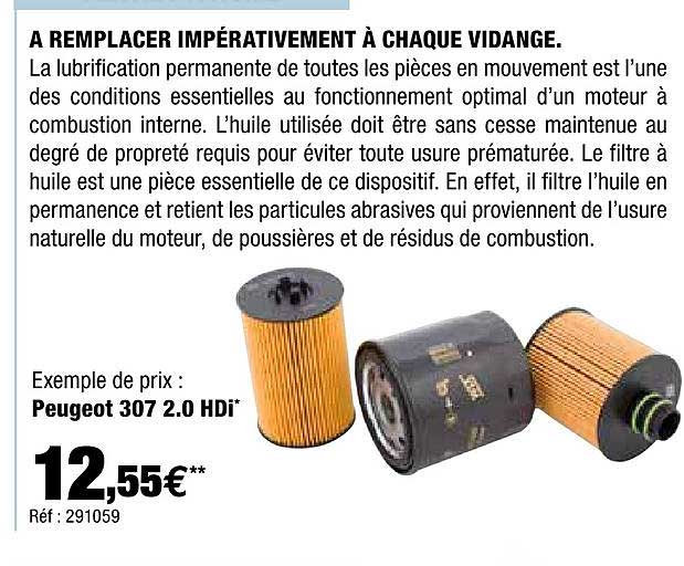 à remplacer impérativement à chaque vidange : peugeot 307 2.0 hdi