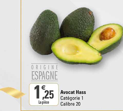 Avocat Hass
