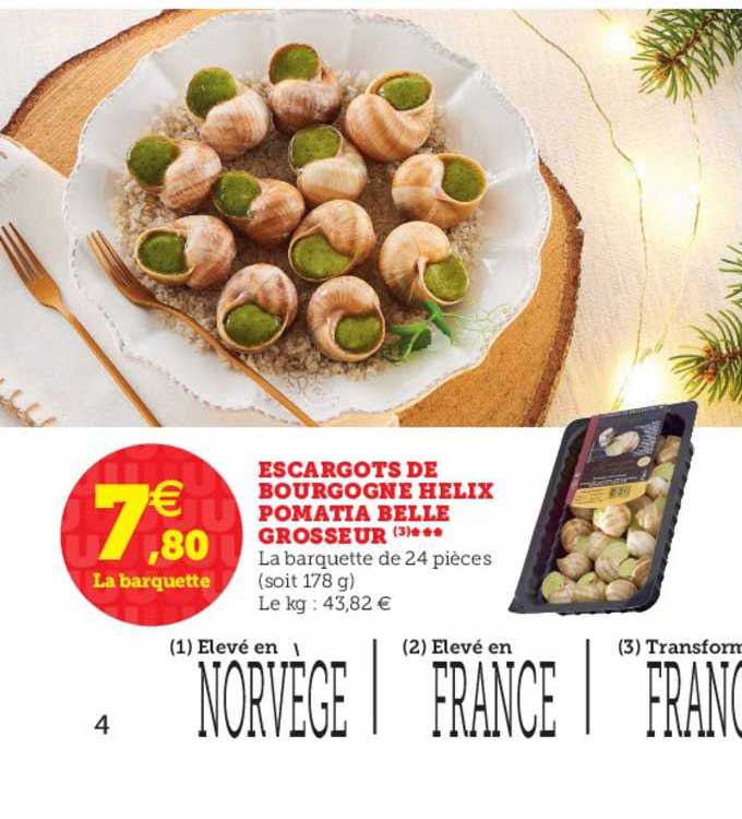 escargots de bourgogne helix pomatia belle grosseur
