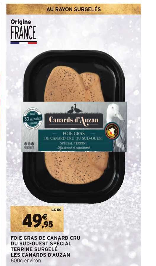 foie gras de canard cru du sud-ouest spécial terrine surgelé les canards d'auzan