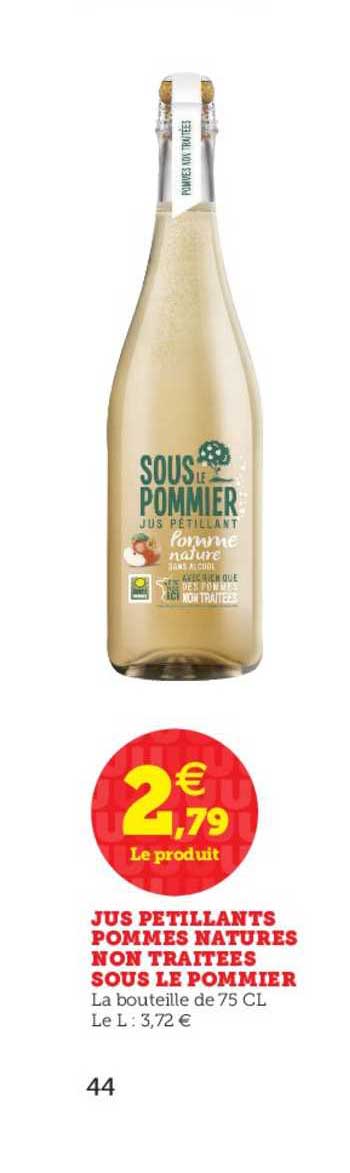 jus pétillants pommes natures non traitées sous le pommier