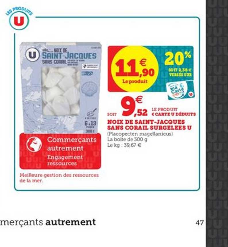 noix de saint jacques sans corail surgelée u