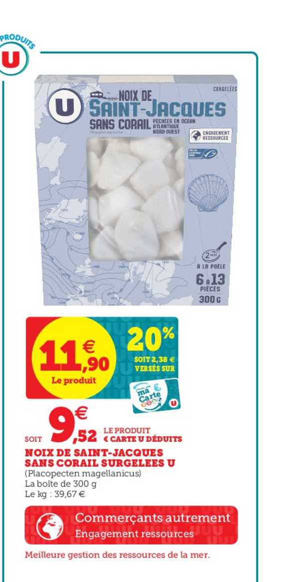 noix de saint jacques sans corail surgelées u