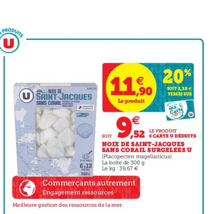 noix de saint jacques sans corail surgelées u
