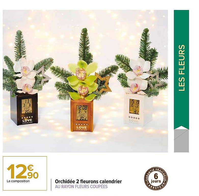 orchidée 2 fleurons calendrier