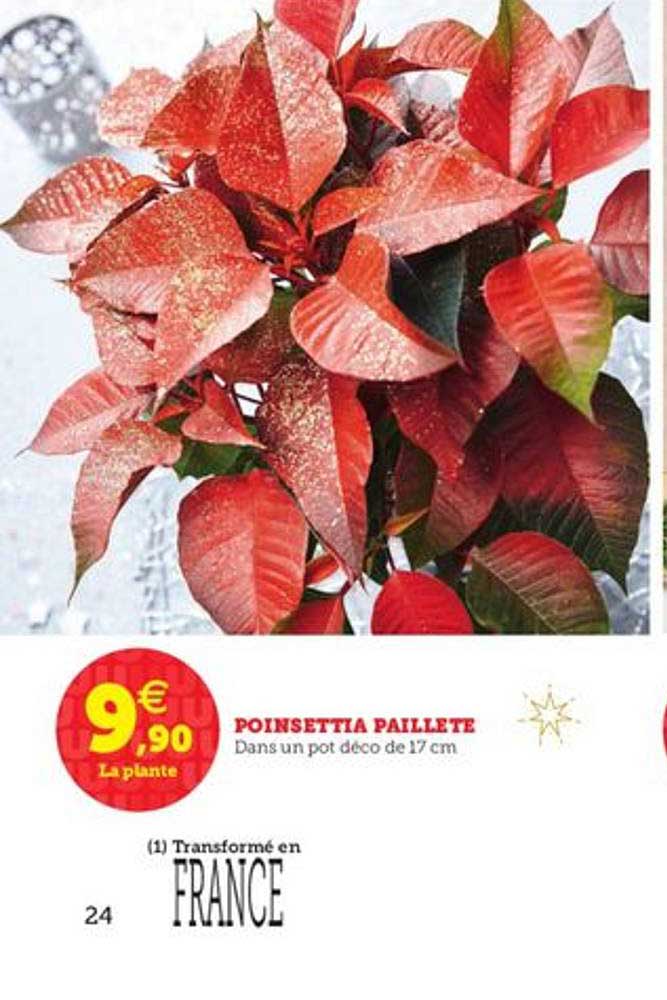 poinsettia paillete