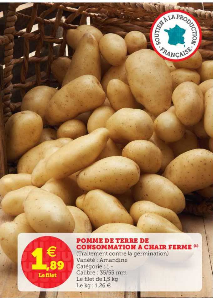 Pomme De Terre De Consommation à Chair Ferme