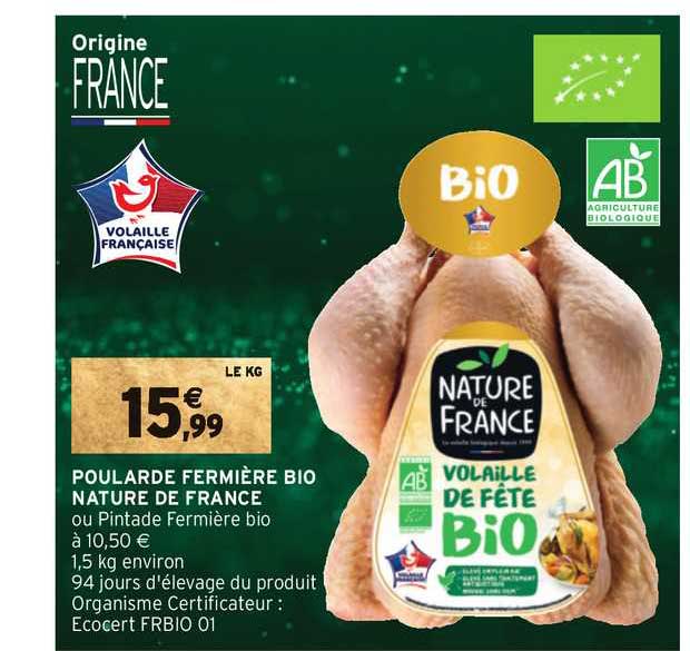 poularde fermière bio nature de france