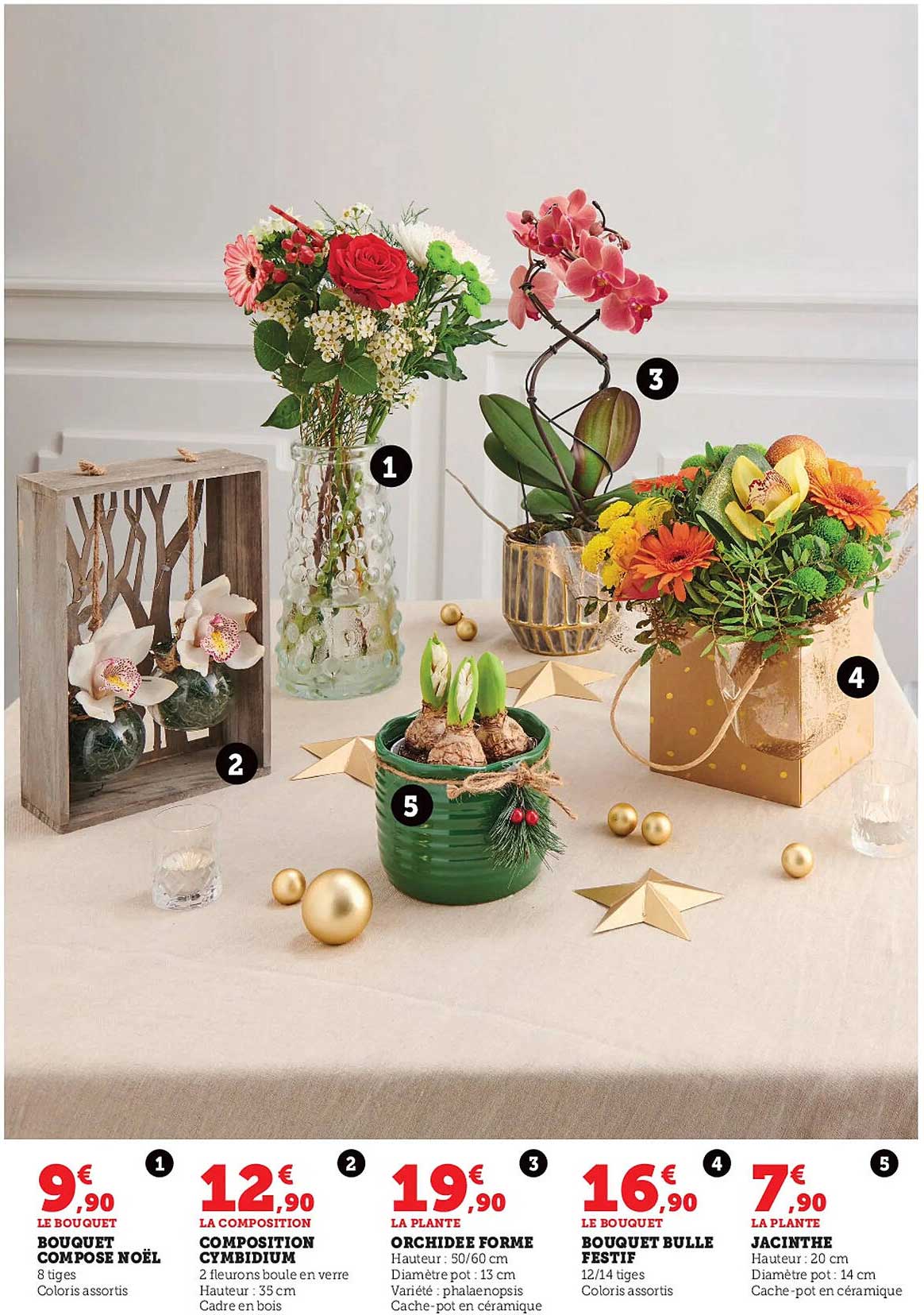 Bouquet Composé Noël, Composition Cymbidium, Orchidée Forme, Bouquet Bulle Festif, Jacinthe