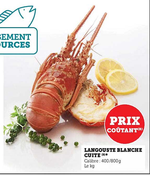 langouste blanche cuite