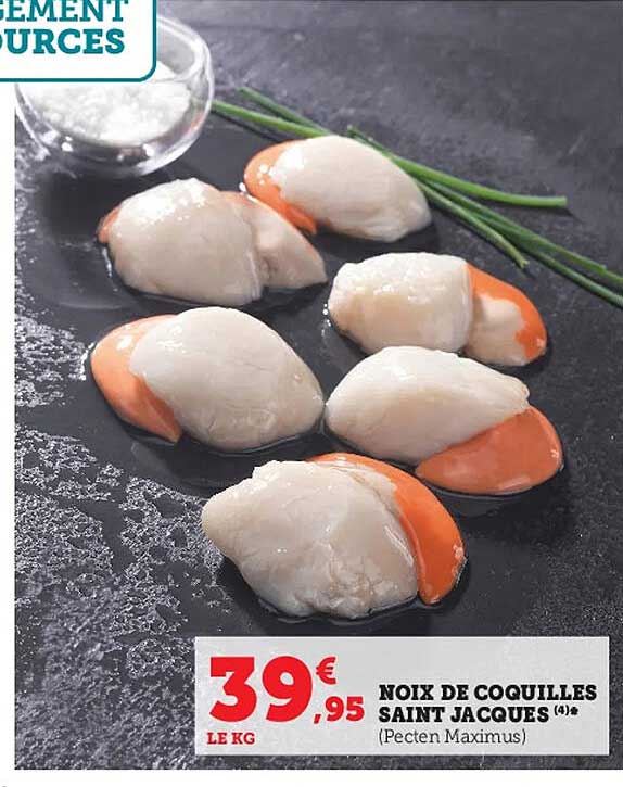 noix de coquilles saint jacques