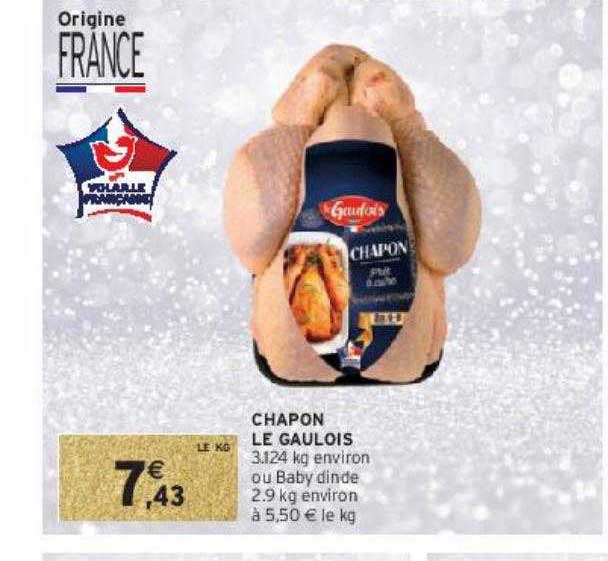 chapon le gaulois