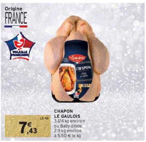 chapon le gaulois