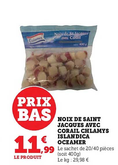 noix de saint jacques avec corail chlamys islandica oceamer