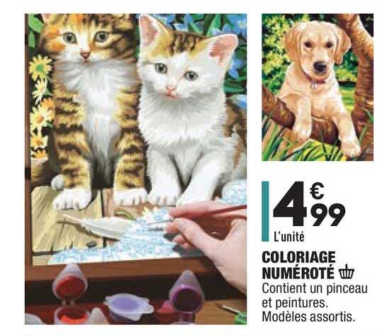 coloriage numéroté