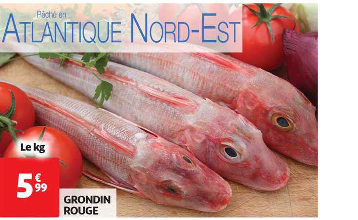 Grondin Rouge