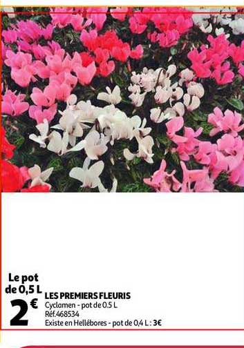 les premiers fleuris