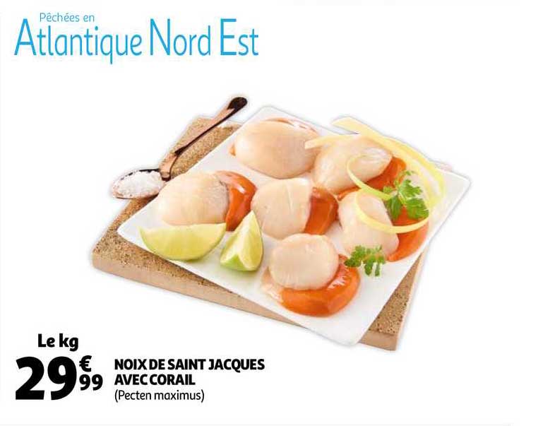 noix de saint jacques avec corail