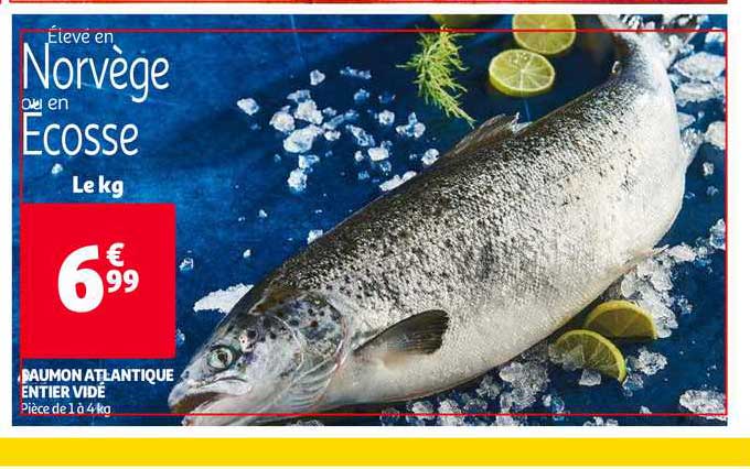 Saumon Atlantique Entier Vidé