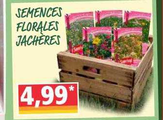 semences florales jachères