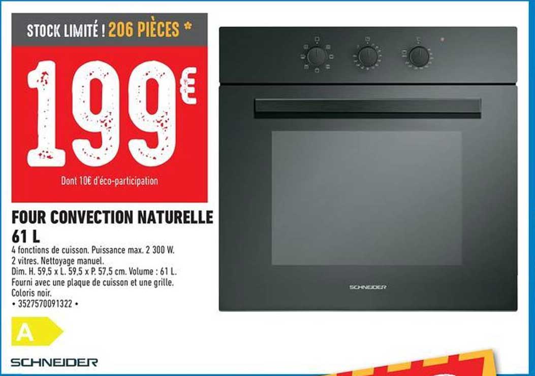 four convection naturelle 61 l schneider