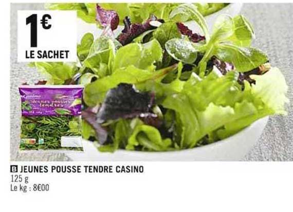 jeunes pousse tendre casino