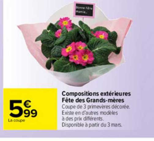 compositions extérieures fête des grands-mères