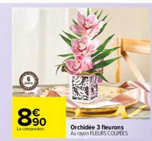 orchidée 3 fleurons