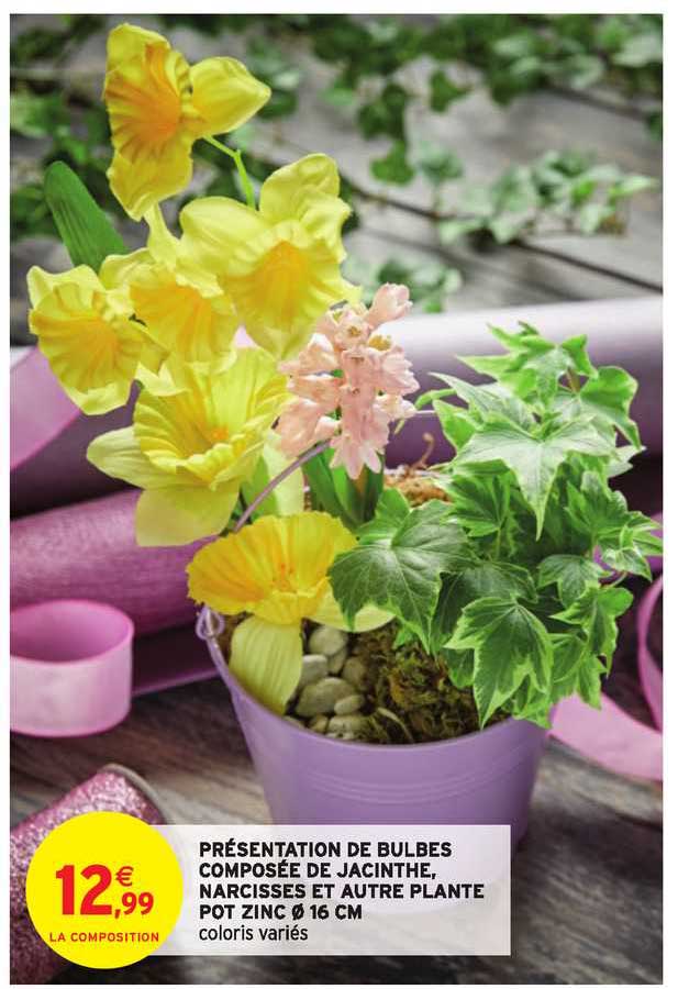 présentation de bulbes composée de jacinthe, narcisses et autre plante pot zinc 16 cm