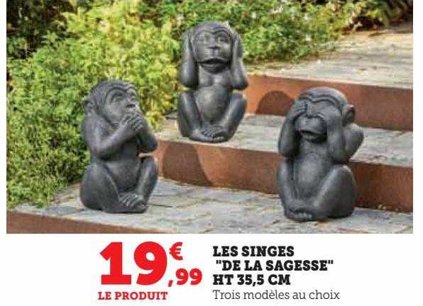 les singes de la sagesse