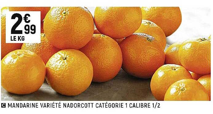 mandarine variété nadorcott catégorie 1 calibre 1-2