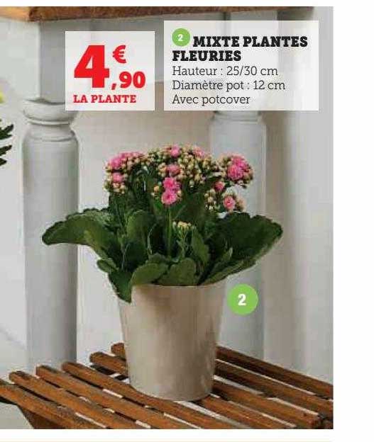 mixte plantes fleuries