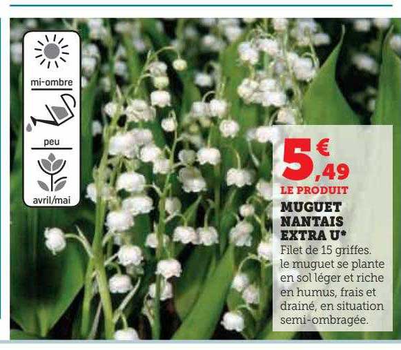 muguet nantais extra u