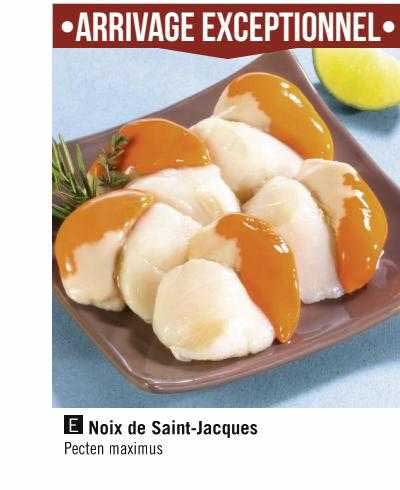 noix de saint-jacques