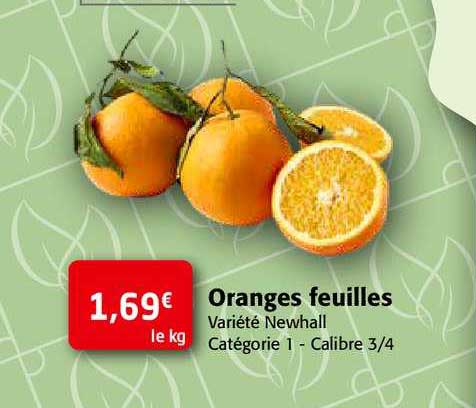 Oranges Feuilles