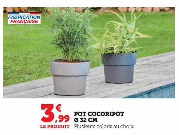 pot cocoripot