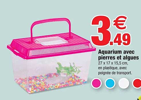 aquarium avec pierres et algues