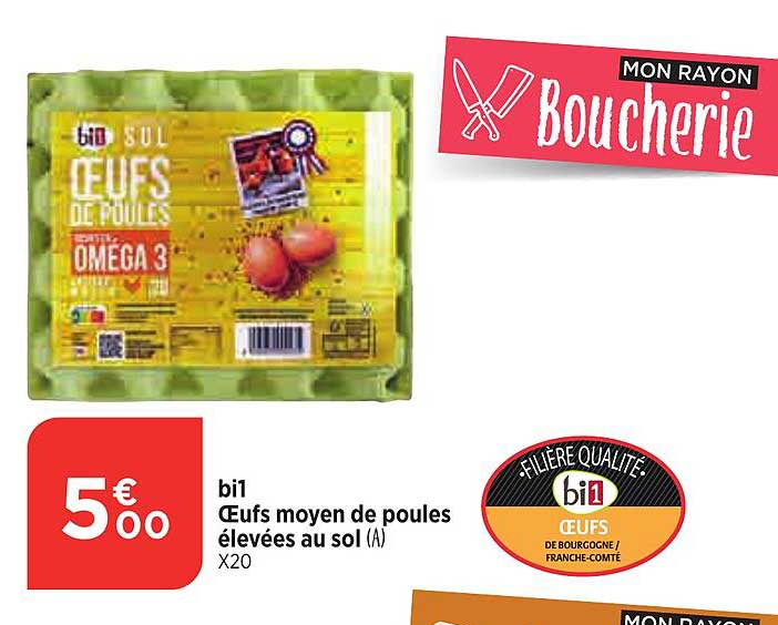 bi1 œufs moyen de poules élevées au sol