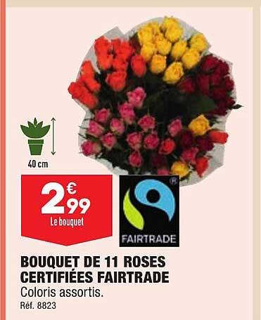 Bouquet De 11 Roses Certifiées Fairtrade