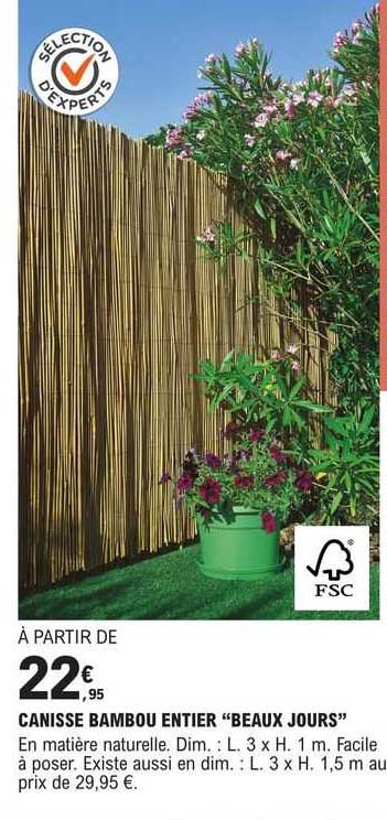 canisse bambou entier "beaux jours"