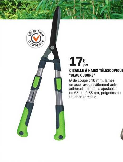 cisaille à haies téléscopique "beaux jours"