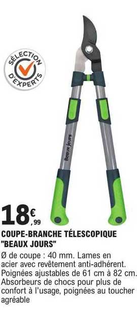 coupe-branche téléscopique "beaux jours"