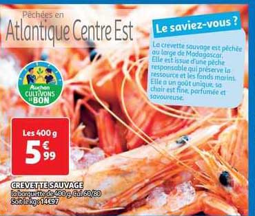 Crevette Sauvage