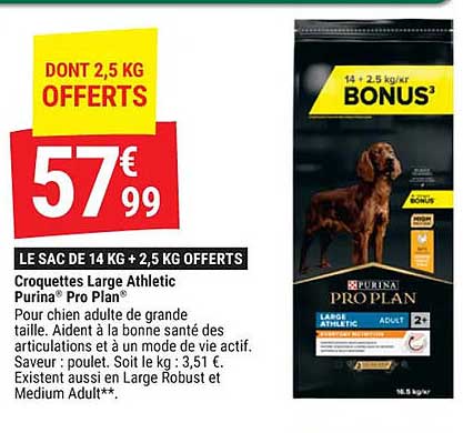 croquettes large athletic purina pro plan