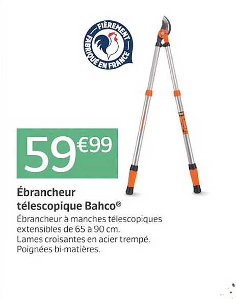 ébrancheur télescopique bahco