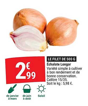 échalote longor