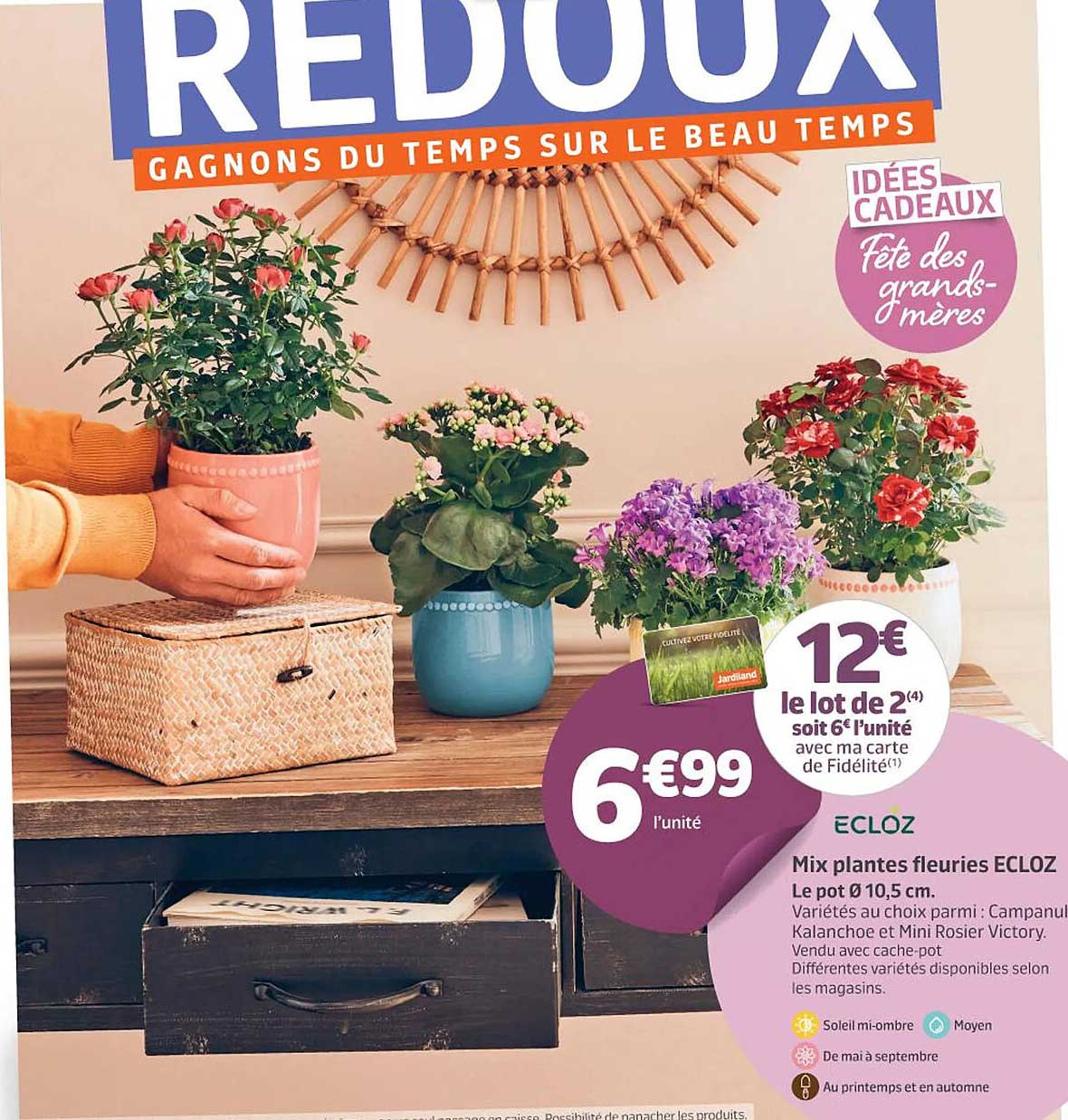 ecloz mix plantes fleuries ecloz